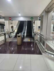 Orchard Plaza (D9), Shop House #457093951